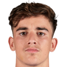 巴勃罗·马丁·派斯·加维拉